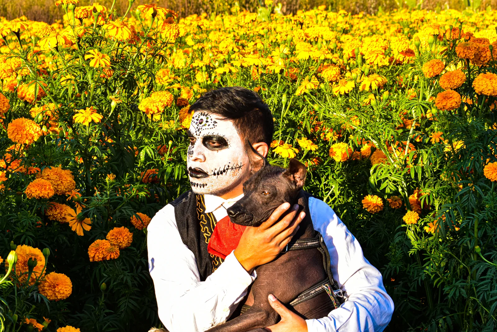 Ofrenda ancestral 17 — Día de Muertos · 2024. Fotografía de José Alejandro Armenta, artista del auto y la vida cotidiana en Tlaxcala.