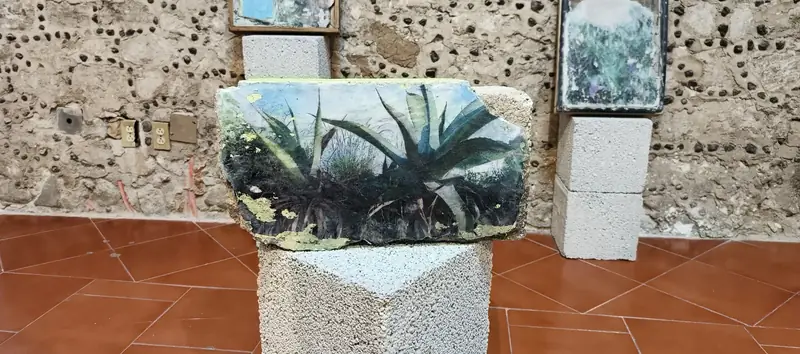 Romper el Agua: Artistas en Atltzayanca — Montaje de la colectiva — Vista 06